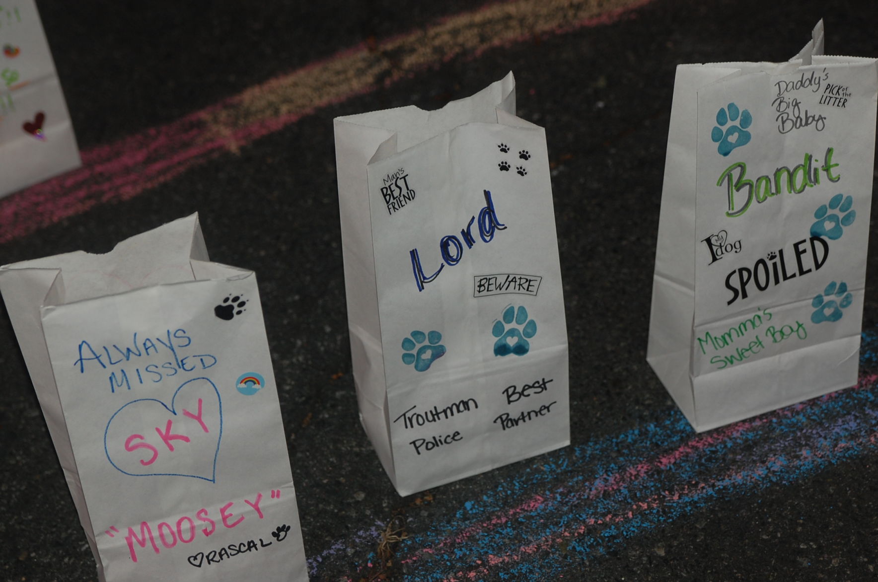 Pet Life celebration (26).JPG